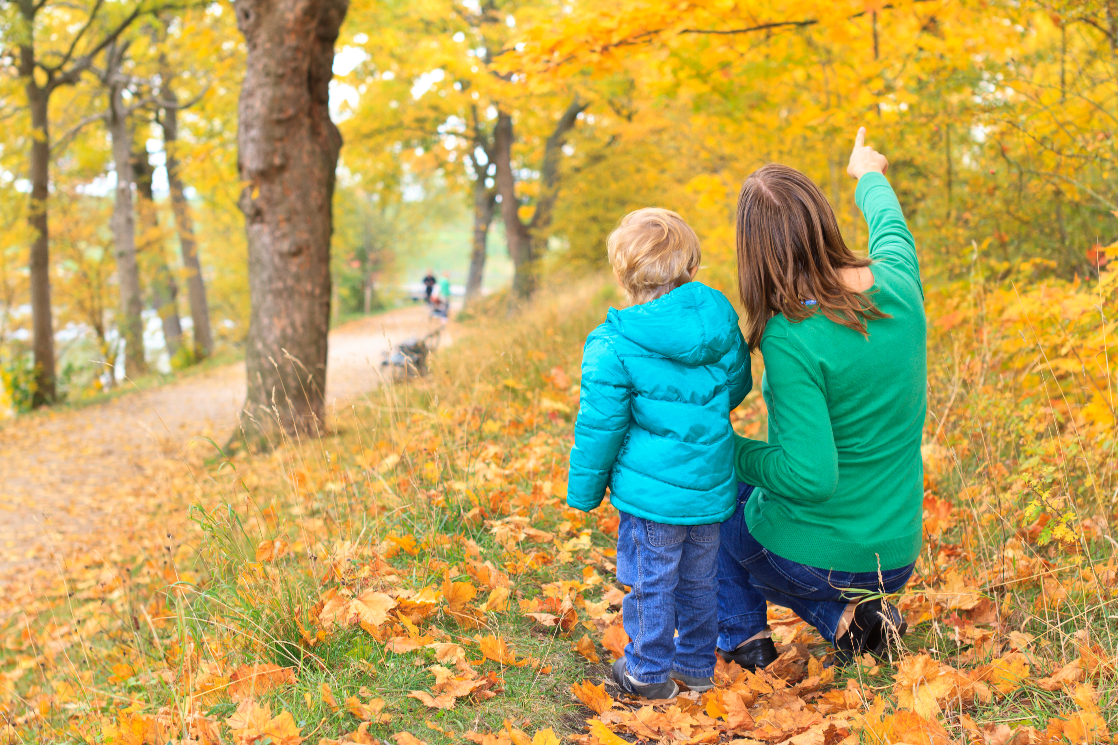 parent and child exploring yellow fall forest